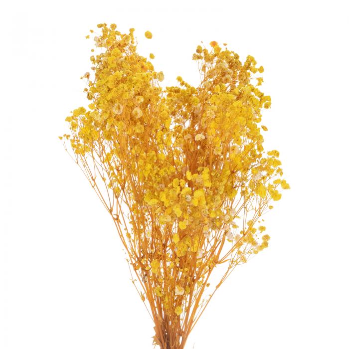 uxcell 人工乾燥したベビーブレスフラワー 17