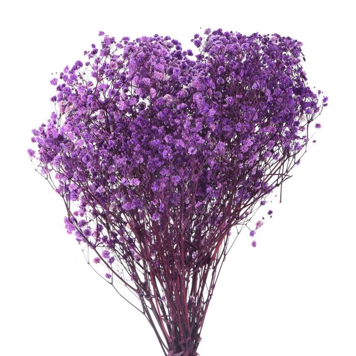 uxcell 人工乾燥したベビーブレスフラワー 17