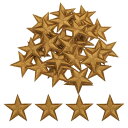 uxcell 33個 星アイロンパッチ 小さな星刺繍パッチ アップリケ パッチ DIY クラフト 服修理 バッグ 帽子 装飾 ライト茶色