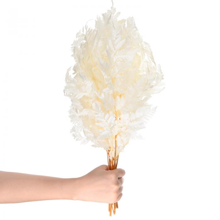 M METERXITY 10パックのシダ 15"の天然乾燥緑リー（茎付き）ウェディングガーランドブーケ/ホームパー..