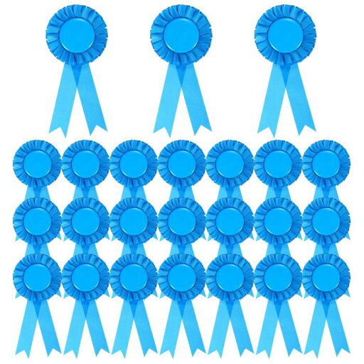 PATIKIL 24個の賞リボン 1位 2位 3位の受賞者認識リボン 空白の賞リボン参加メダルリボン 競技スポーツイベント用 レイクブルー PATIKIL 24個の賞リボン 1位 2位 3位の受賞者認識リボン 空白の賞リボン参加メダルリボン 競技スポーツイベント用 レイクブルー