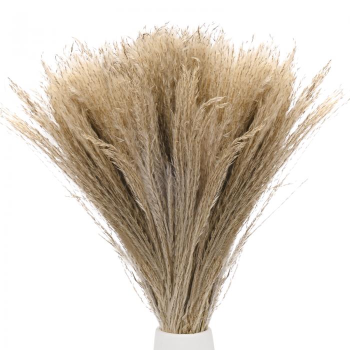 M METERXITY 150パックのフェイクパンパスグラス40 cm/16インチ小さなフェイクフラッフィーパンパスグ..