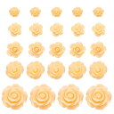 uxcell 60個のシャンパンゴ ールド樹脂バラの花ビーズ 5サイズのフラットバック花チャ ーム不透明な彫刻バラビーズDIYジュ エリー作り爪サングラスシュー...