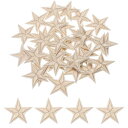 uxcell 33個 星アイロンパッチ 小さな星刺繍パッチ アップリケ パッチ DIY クラフト 服修理 バッグ 帽子 装飾 シャンパン