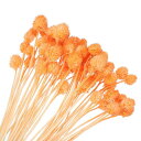 PATIKIL 16" 花瓶用乾燥花 60個 ミニパインボールフラワー 自然なブーケ バルク秋 乾燥パインボール ホームウェディング デコレーションパーティー用 オレンジ(茎)