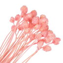 PATIKIL 16" 花瓶用乾燥花 30個 ミニパインボールフラワー 自然な花束 バルク秋 乾燥パインボール ホームウェディング デコパーティー用 ピンク(茎)