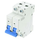 uxcell 1個 ミニチュアサーキットブレーカー 2P 20A AC 110V DZ47-63 DINレールマウント切断スイッチ サーキットブレーカー保護 熱磁気トリップによるショートサーキット保護 過負荷 青