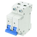 uxcell 1個 ミニチュアサーキットブレーカー 2P 25A AC 110V DZ47-63 DINレール取り付け切断スイッチ サーキットブレーカー 保護 サーマル磁気トリップ 短絡保護 過負荷 青