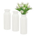 PATIKIL 花瓶 3個セット シンプルでスタイリッシュな花瓶 ブーケ用 割れないプラスチック製花瓶 ホーム居間センターピースオフィスウェディングパーティー用 ホワイト