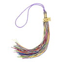 uxcell 2024年卒業タッセル 2024年金装飾付き卒業キャップタッセル DIY用 卒業式パーティー式典記念品 卒業帽子デコレーション マルチカラー