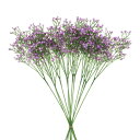 uxcell 12個 フェイク ギプソフィラ人工花 枝 結婚式 花束 花 アレンジメント ホームデコレーション ため 長い茎 PU人工花 パープル