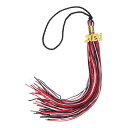 uxcell 2024年卒業タッセル 2024年金色装飾付き ダブルカラー卒業帽タッセル DIY用 卒業パーティー 式典 記念品 卒業帽装飾 黒 レッド ホワイ...