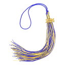 uxcell 2024年卒業タッセル 2024年 金 装飾付き ダブルカラー卒業キャップタッセル DIY用 卒業パーティー 式典 卒業帽子 装飾 パープルイエロ...