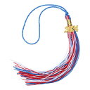 uxcell 2024年卒業タッセル 2024年 金 装飾付き ダブルカラー卒業キャップタッセル DIY用 卒業パーティー 式典 記念品 卒業帽子 装飾 青と白