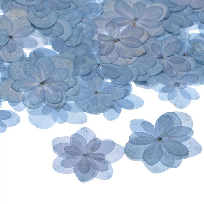 M METERXITY 60個入り 樹脂用乾燥押し花 本物 自然な大量 乾燥花 クラフト/ DIY宝石/石鹸作り/スクラ ップブッキング/キャンドル/エポキシ樹脂用品[ブルー]