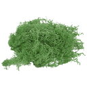 PATIKIL 10オンス フェイクモス 保存されたトナカイ装飾用人工 フェイクモス 屋内 鉢植え 花壇 クラフト 家庭 オフィス 芸術的な装飾用 緑色 箱付き(3)