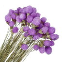 PATIKIL 16" 花瓶用乾燥花 60個 ミニパインボールフラワー 自然な花束 バルク秋 乾燥パインボール ホームウェディング デコパーティー用 パープル