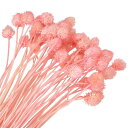 PATIKIL 16" 花瓶用乾燥花 60個 ミニパインボールフラワー 自然な花束 バルク秋 乾燥パインボール ホームウェディング デコパーティー用 ピンク(茎)