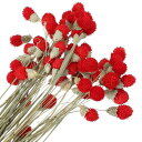 PATIKIL 16" 花瓶用乾燥花 60個 ミニ松玉 花 自然な花束 まとめ買い 秋 乾燥松玉 ホームウェディング デコレーションパーティー用 レッド