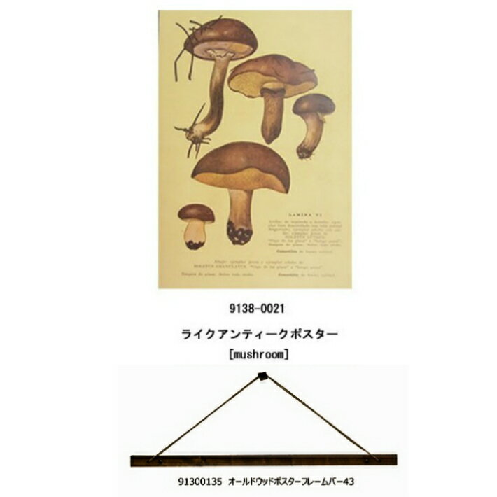 きのこ 雑貨【LIKE ANTIQUE POSTER】mushroomアンティークポスター / マッシュルーム ポスター アンティーク風 レトロ おしゃれ 木製 北欧雑貨 インテリア【きのこ雑貨】【レトロ雑貨】