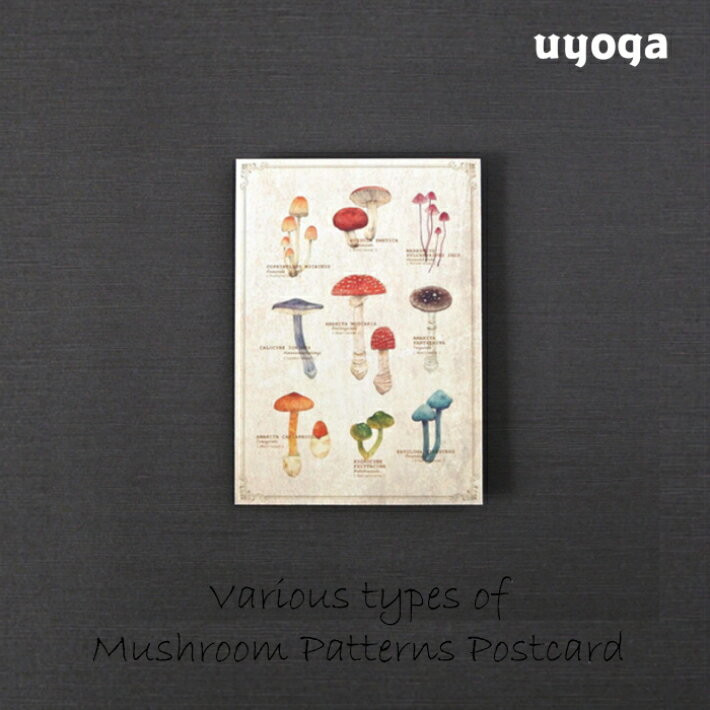 ［mocolier］図鑑風 ポストカード（きのこミックス） / ポストカード カード はがき ハガキ 葉書 絵葉..