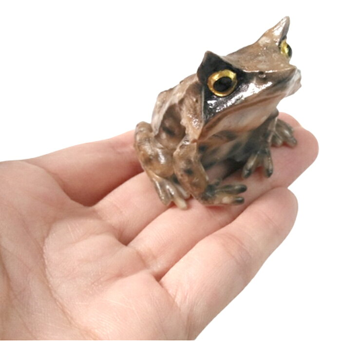 かえる 雑貨 カエルのマグネット【REPTILES MAG】ミツヅノコノハガエル / MEGOPHRYS NASUTA カエル 蛙 両生類 爬虫類 文房具 整理用品 ステーショナリー デスク オブジェ インテリア 置物【おもしろ雑貨】の商品画像 3
