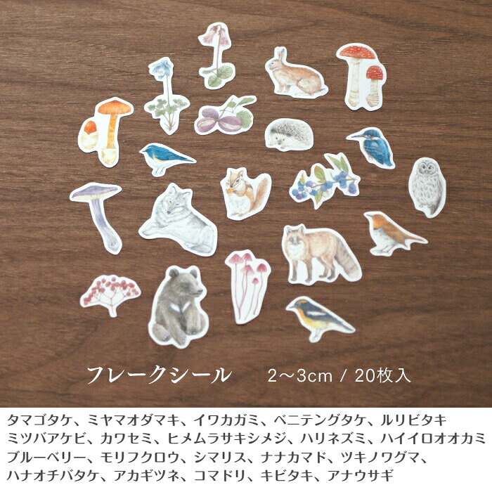［mocolier］もりの図鑑セット〔紙ものアソート〕 / メッセージカード ポストカード 大人 おしゃれ かわいい ステーショナリー クラフト お手紙 便せん シール 封筒 文通 きのこ 雑貨 きのこ雑貨の商品画像 2