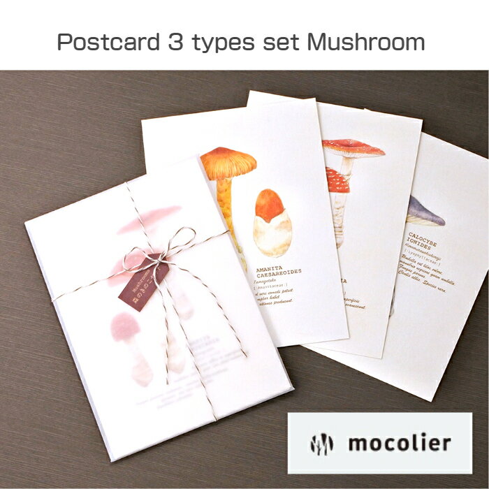 mocolierϥݥȥ3糧åȡ̤Τ / ꡼ƥ󥰥 ץե ƥꥢ ս ս ݥȥ   襤 ...