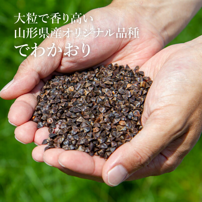 サンプル画像2
