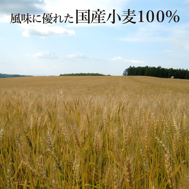 【スープ付2食分】 懐かし味の中華そば〈醤油〉 1袋 魚介と鶏が懐かしい あっさり醤油に国産小麦100%の細打ち麺山形 寒河江 卯月製麺 uzuki-10000313 卯月製麺 楽天市場店 サンプル画像3