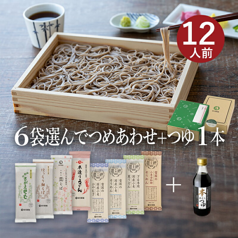 お好みでつめあわせ 麺6袋入（約12食分）＋つゆ1本セット(