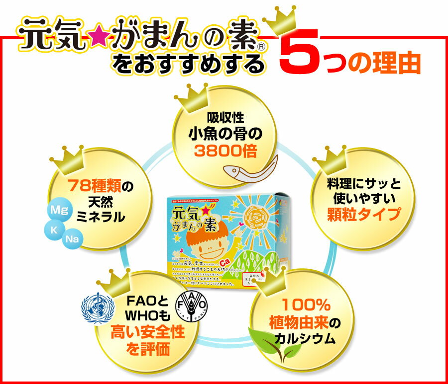 元気☆がまんの素 個包装タイプ 120g（2g×60包） ×1箱 3