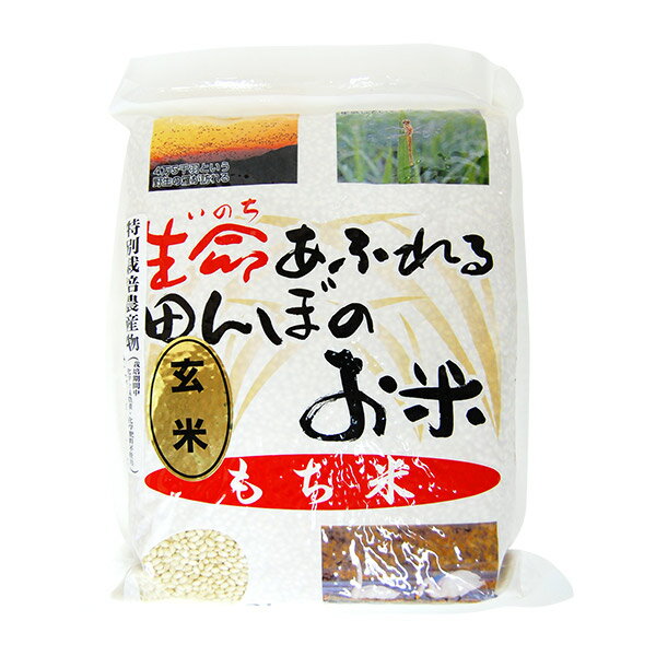 生命あふれる田んぼのお米 もち米 玄米 2kg 【令和5年産】