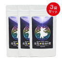 【3袋セット】元気快活の素 66g(220mg×約300粒)×3個