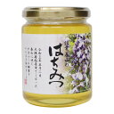 雅蜂園 信貴 春山の蜂蜜 300g