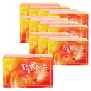 元気酵素の素 (300g/10g×30)×12箱セット