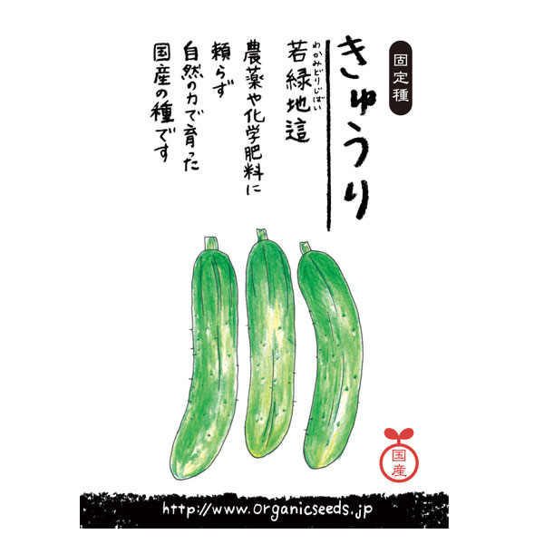 ナチュラルライフステーション 国産・自然農法種子 若緑地這きゅうり 4月〜7月まき 約10粒