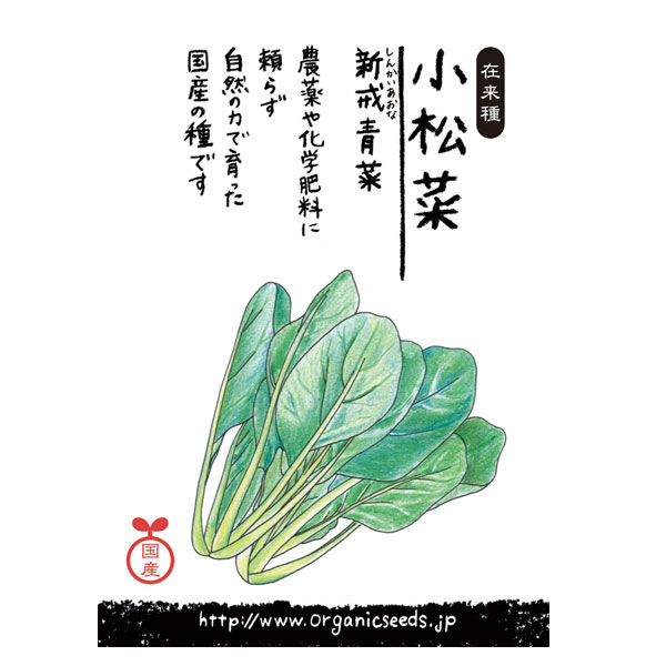 ナチュラルライフステーション 国産・自然農法種子 小松菜/新戒青菜 3月〜5月/7月〜10月まき 約580粒