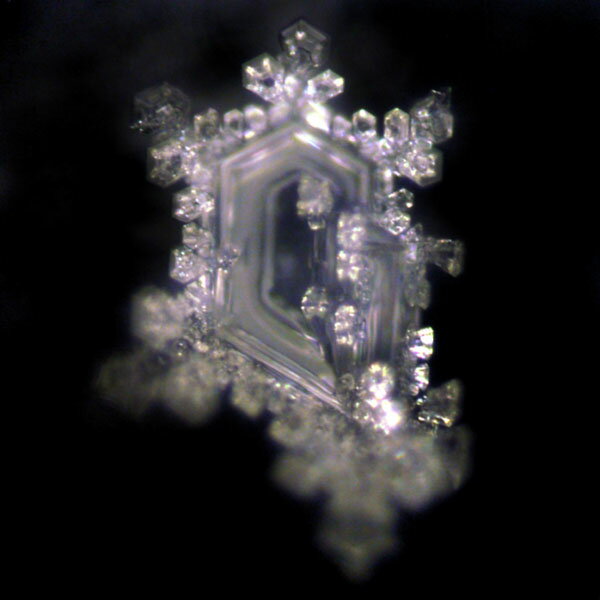Natures Design (ネイチャーズデ...の紹介画像3