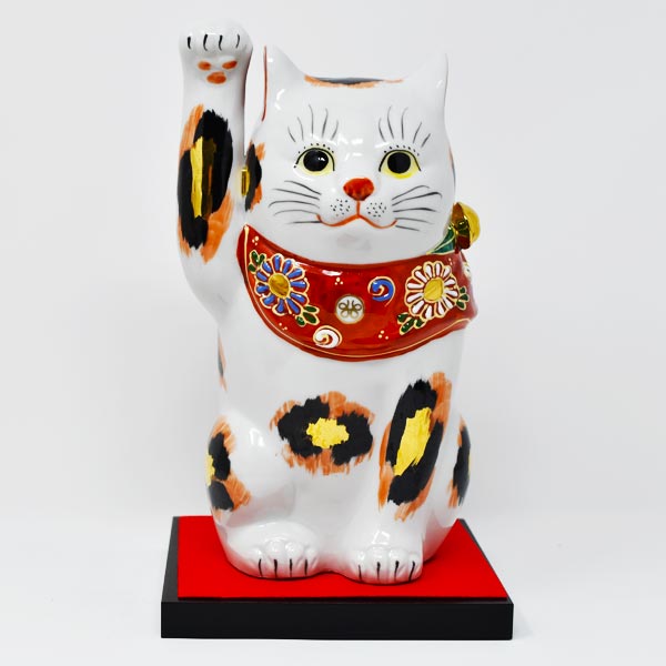 アポロシン招き猫 特大 三毛(右)飾り台付き 高さ約228×横120×奥行125mm