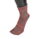 杉山ニット工業 EM Tabi雅/ショート EM Tabi Socks short 赤富士/25-27cm(4)