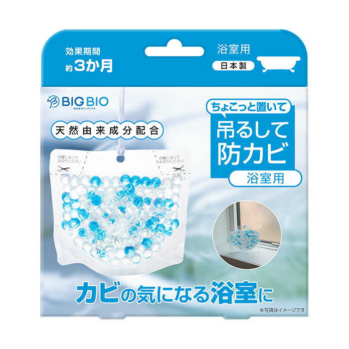 BIG BIO（ビッグバイオ） ちょこっと置いて吊るして防カビ浴室用 160g