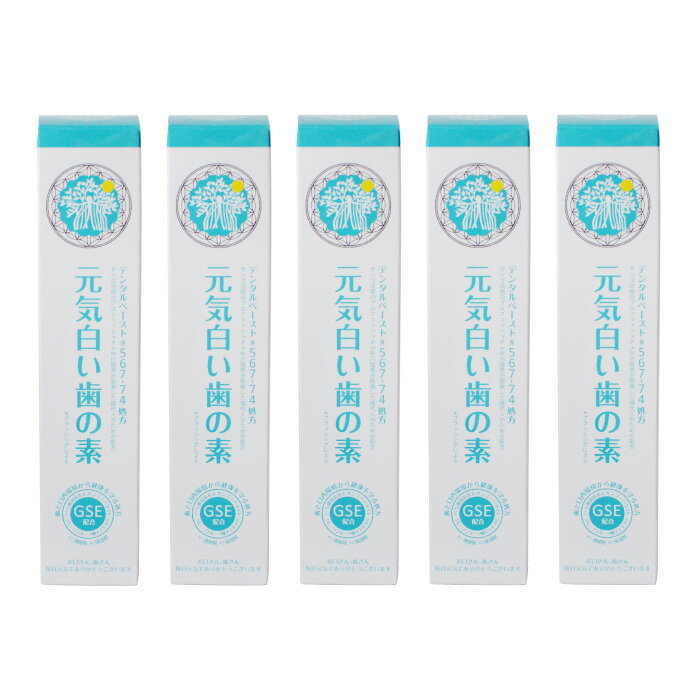 元気白い歯の素 （GSE練歯みがき） 100g×5本セット