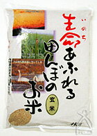 無農薬・無化学肥料米：生命あふれる田んぼのお米玄米4kg消費税なし！