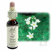 バッチフラワーレメディ No.34 ウォーターバイオレット 10ml