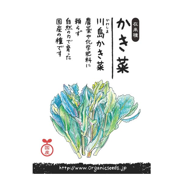ナチュラルライフステーション 国産・自然農法種子 川島かき菜（9〜10月まき） 約50粒