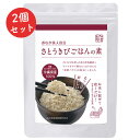 さとうきびごはんの素 60g(2g×30包)+さとうきびごはんの素 2包プレゼント 【サマーセール】