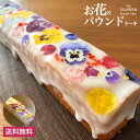 うずの華 【送料無料】 お花のパウ