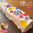 花とパウンドケーキのセット うずの華 【送料無料】 お花のパウンドケーキ (2本セット) [パウンドケーキ スイーツ 焼き菓子 エディブルフラワー 食用花 花 押し花 押花 ドライフラワー ホワイトデー バレンタイン 母の日 ケーキ ギフト お取り寄せ]