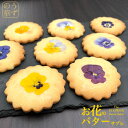 うずの華 お花のバターサブレ (7枚) 